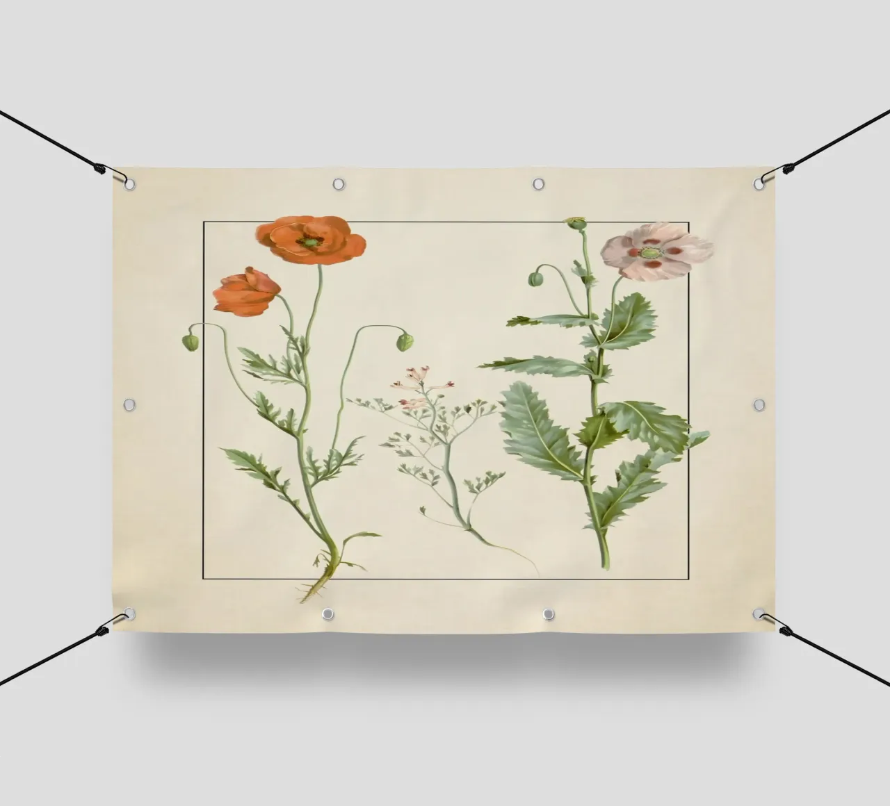 Stampa botanica vintage di papaveri e fiori selvatici - Giardino rustico A telo in pvc da ClubArt