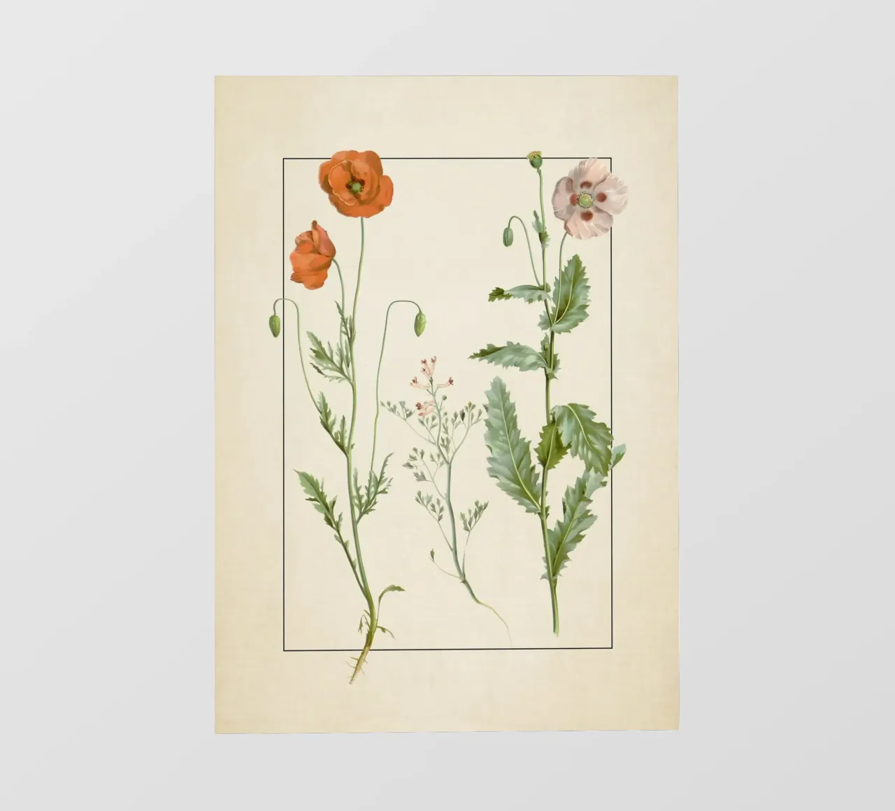 Stampa botanica vintage di papaveri e fiori selvatici - Giardino rustico A telo in pvc da ClubArt
