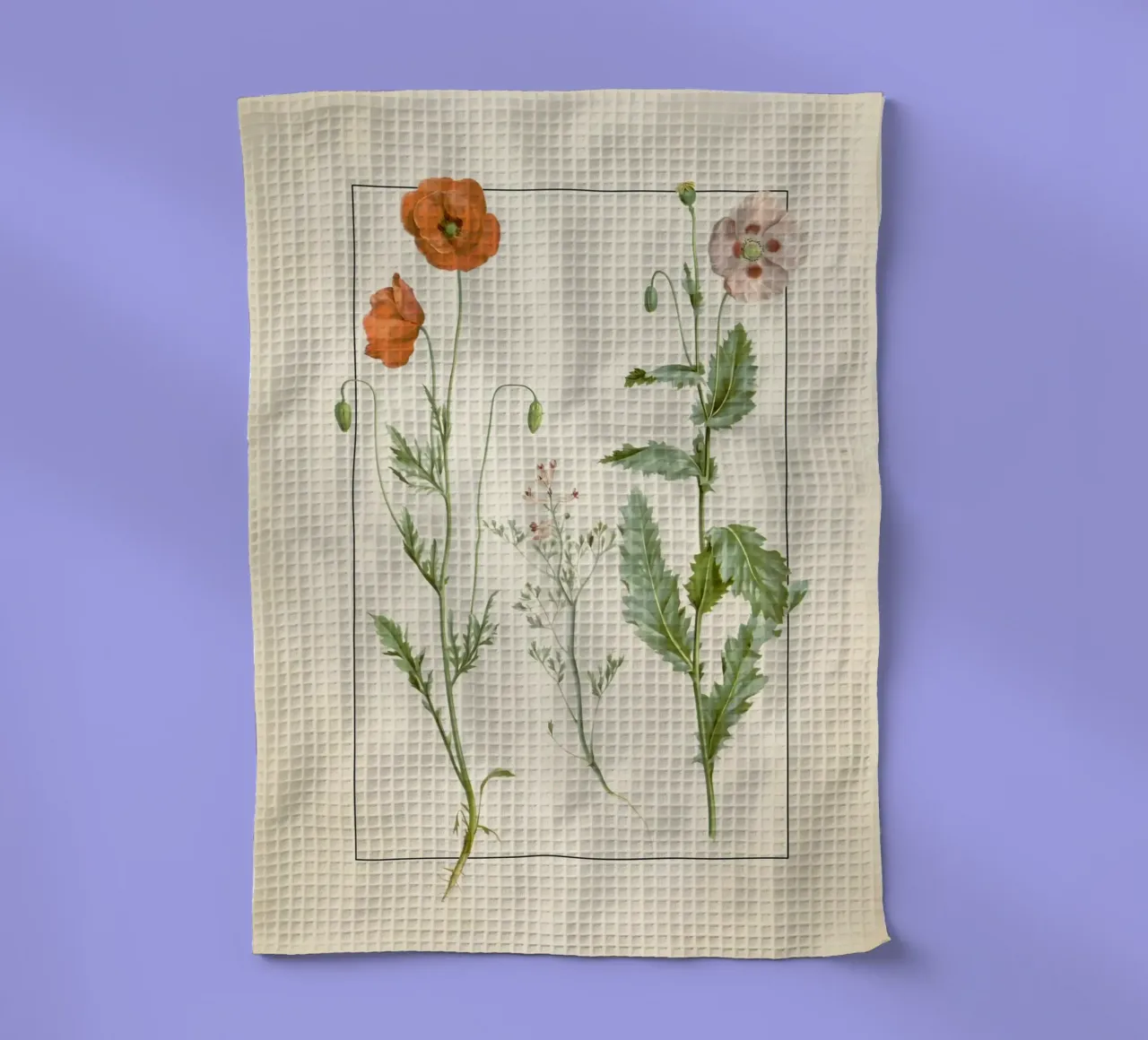 Stampa botanica vintage di papaveri e fiori selvatici - Giardino rustico A canovaccio da cucina da ClubArt