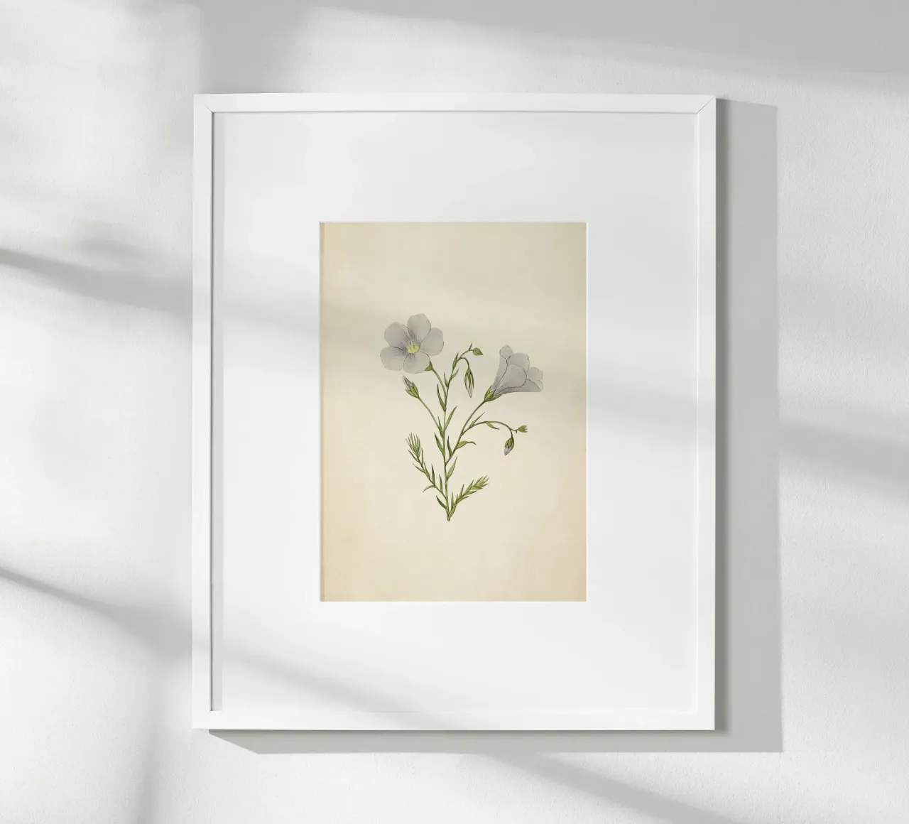 Stampa botanica vintage di lino bianco - Delicata arte dei fiori selvatici poster con telaio in legno da ClubArt