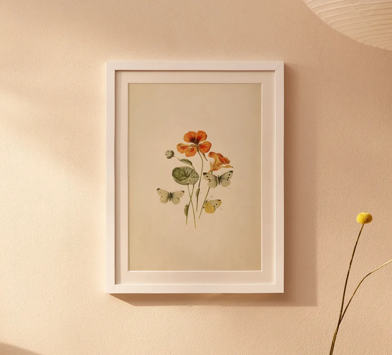 Stampa botanica vintage "Nasturtium & Butterflies" - Natura Ar poster con telaio in plastica da ClubArt