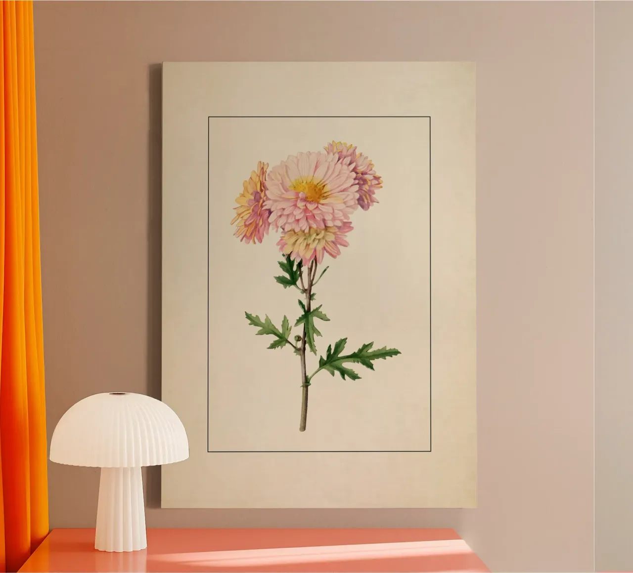 Botanische print van roze chrysant - Tuinkunst canvas met Baklijst van ClubArt