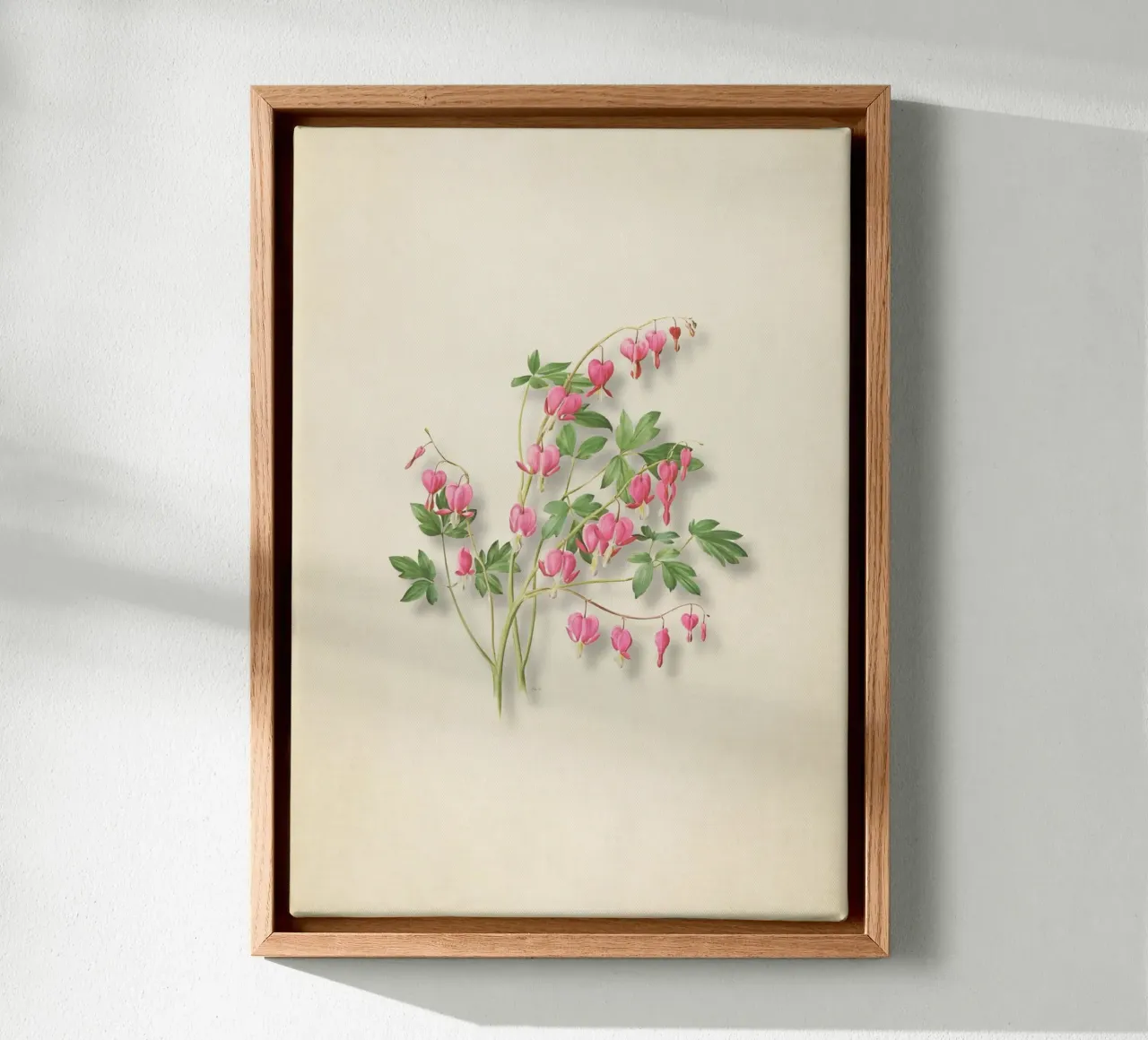Botanische print met bloedend hart - Roze bloemsierkunst canvas met Baklijst van ClubArt