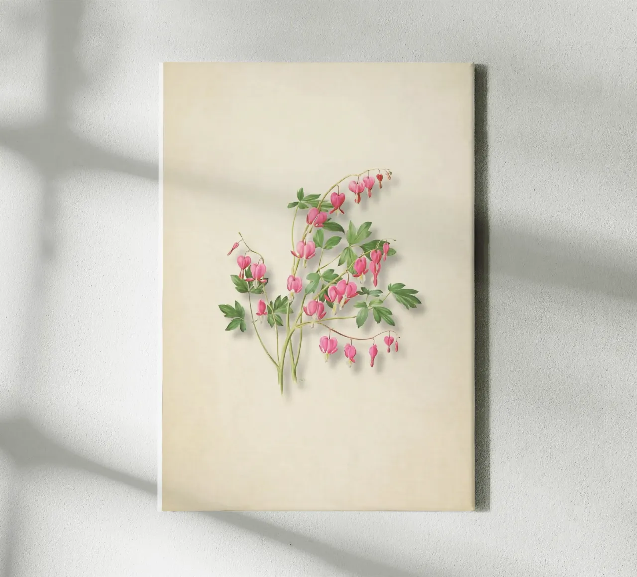 Botanische print met bloedend hart - Roze bloemsierkunst canvas met Baklijst van ClubArt