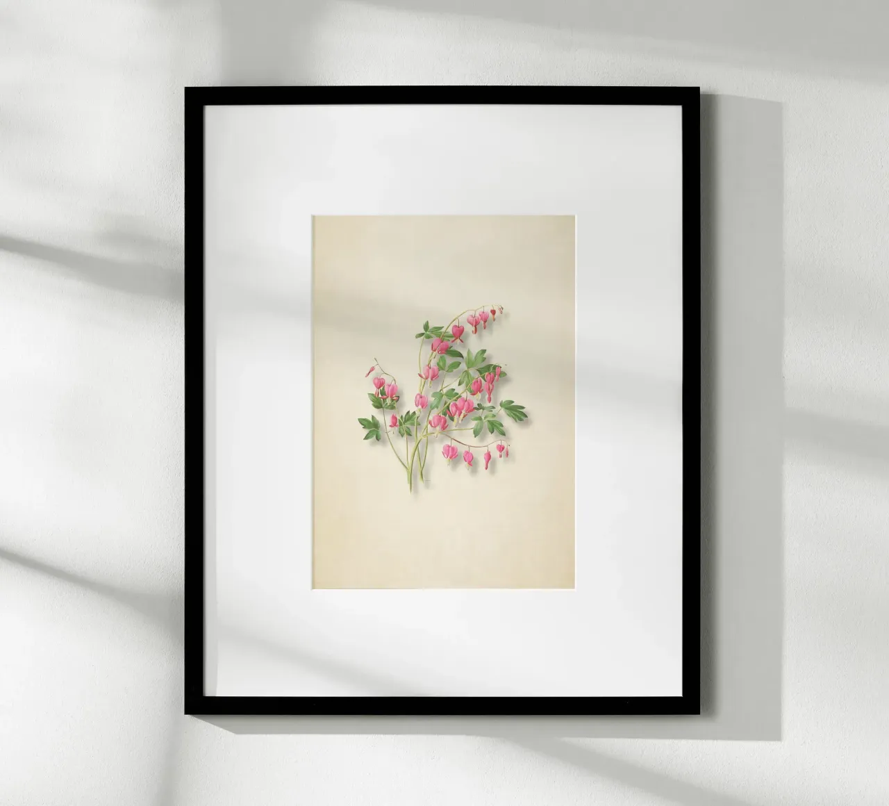 Botanische print met bloedend hart - Roze bloemsierkunst poster van ClubArt