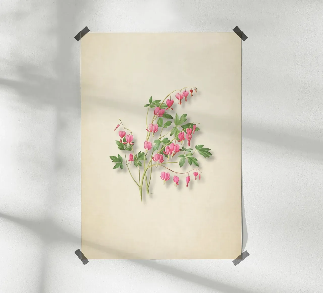 Botanische print met bloedend hart - Roze bloemsierkunst poster van ClubArt