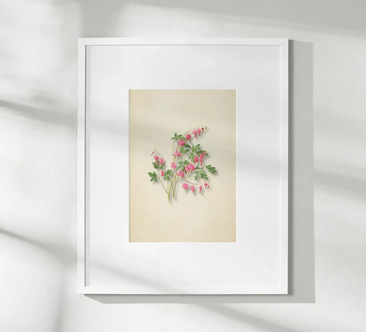 Botanische print met bloedend hart - Roze bloemsierkunst poster van ClubArt
