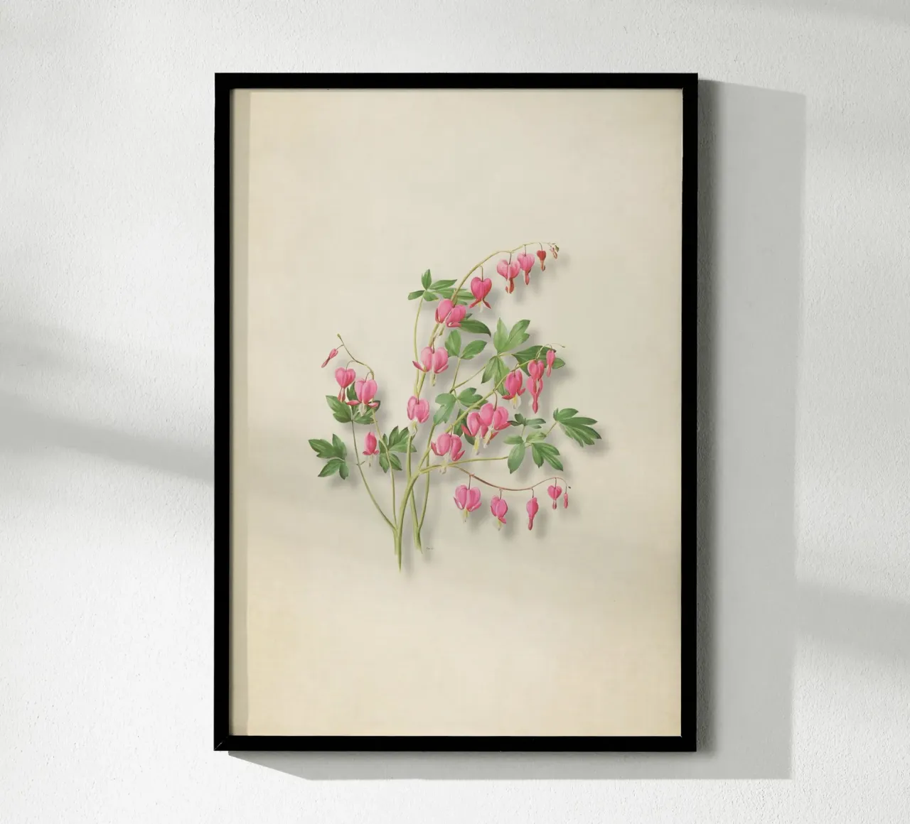 Botanische print met bloedend hart - Roze bloemsierkunst poster van ClubArt