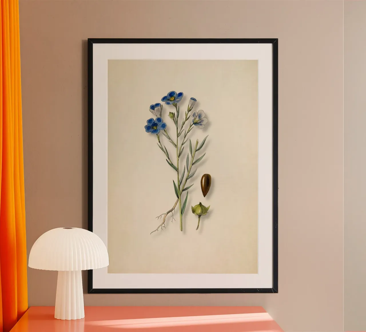 Vintage Blue Flax Botanical Print - Seed & Root Nature Art poster with wooden frame by ClubArt