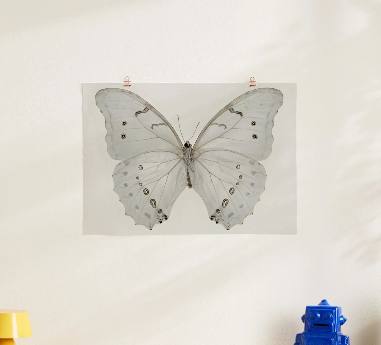 Weißer Morpho Schmetterling - Minimalistische entomologische Kunst Poster von ClubArt