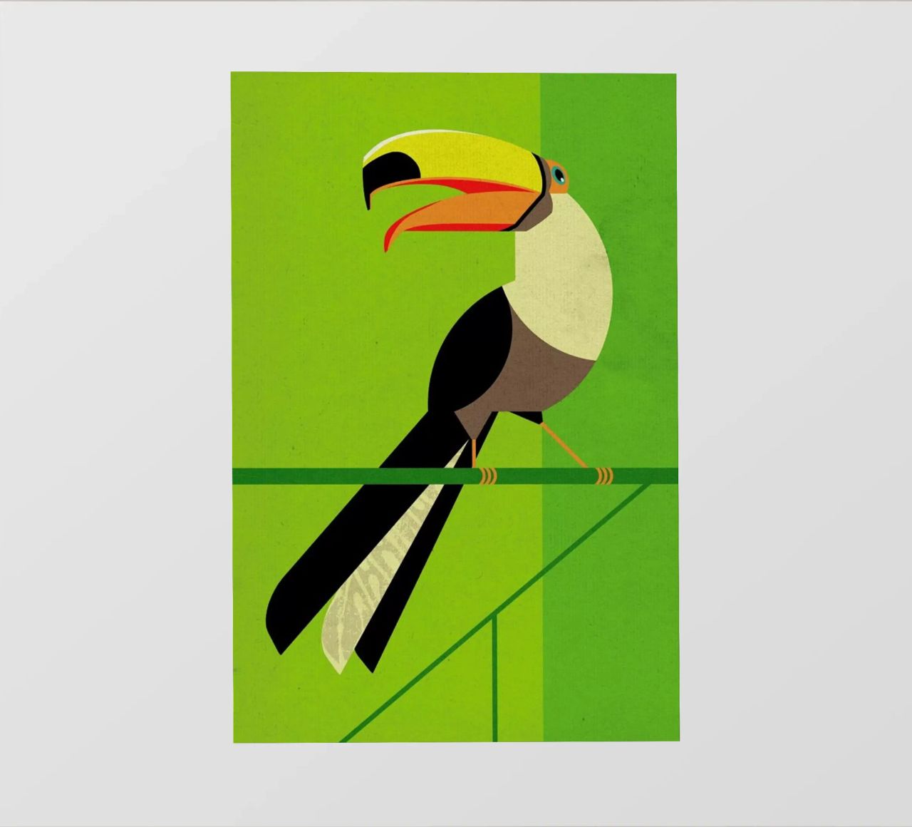 Toucan pellicola backlit da Dieter Braun