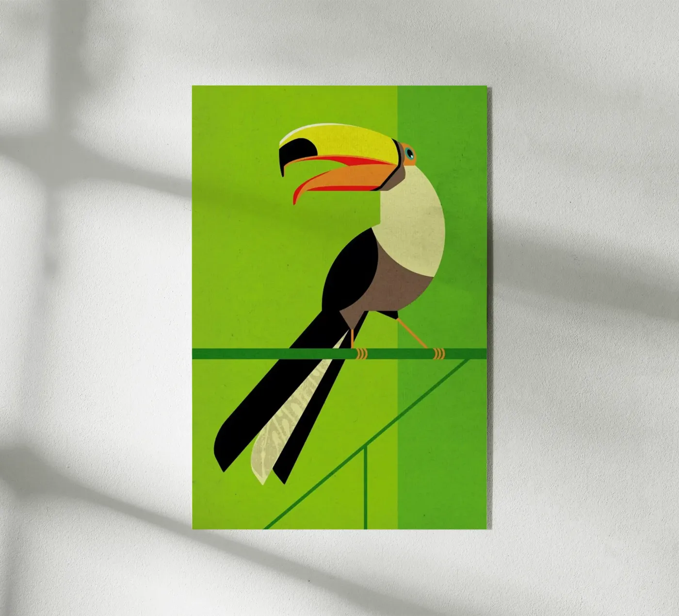 Toucan Acryl-Glas von Dieter Braun