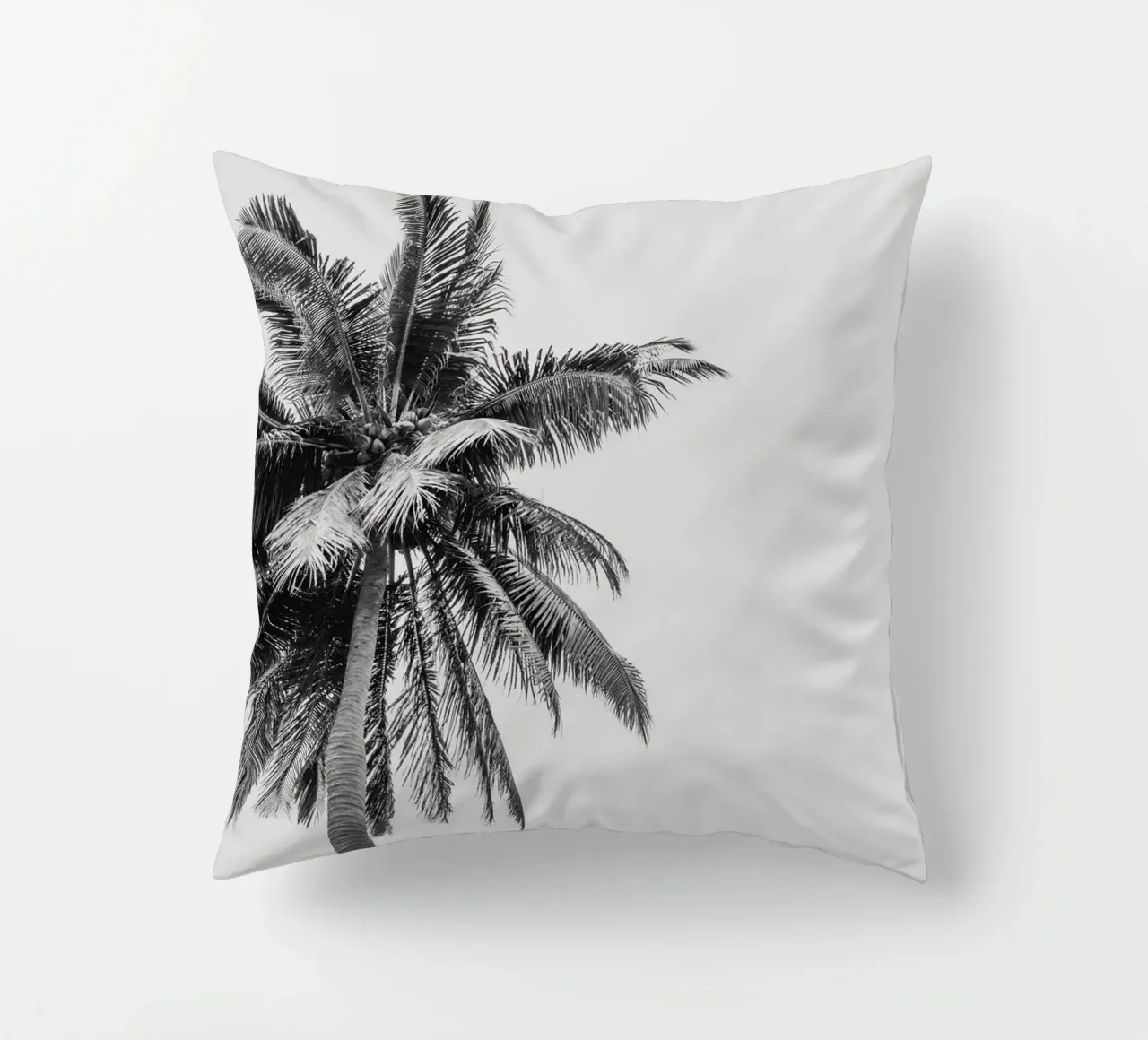 Tropical Palm tree in Indonesia cuscino da photolovers