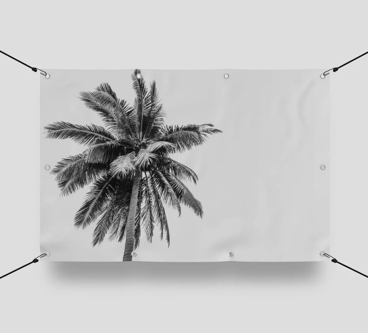 Tropical Palm tree in Indonesia telo in pvc da photolovers