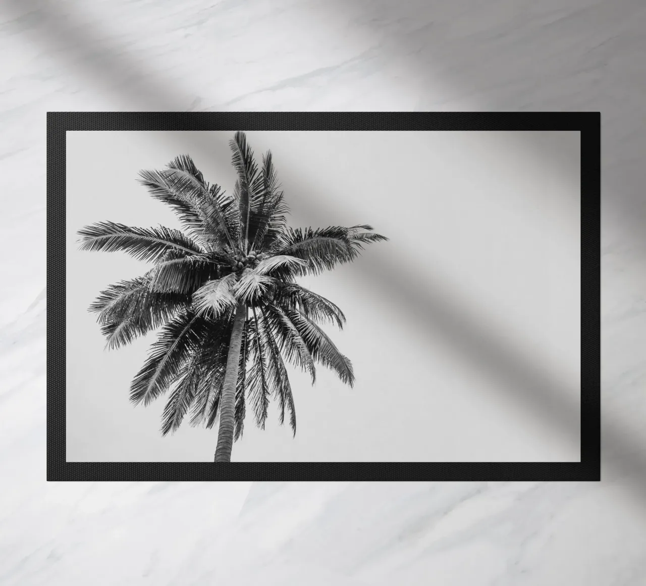 Tropical Palm tree in Indonesia zerbino da photolovers
