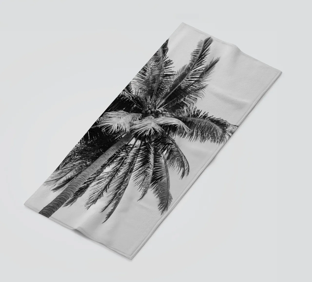 Tropical Palm tree in Indonesia telo mare da photolovers