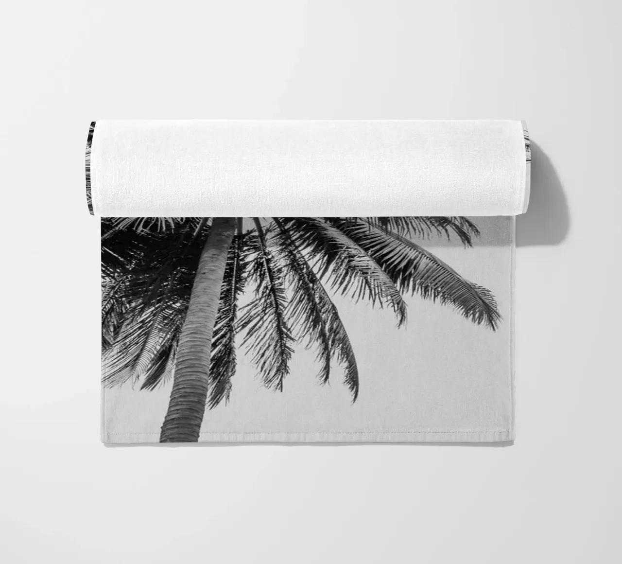 Tropical Palm tree in Indonesia telo mare da photolovers