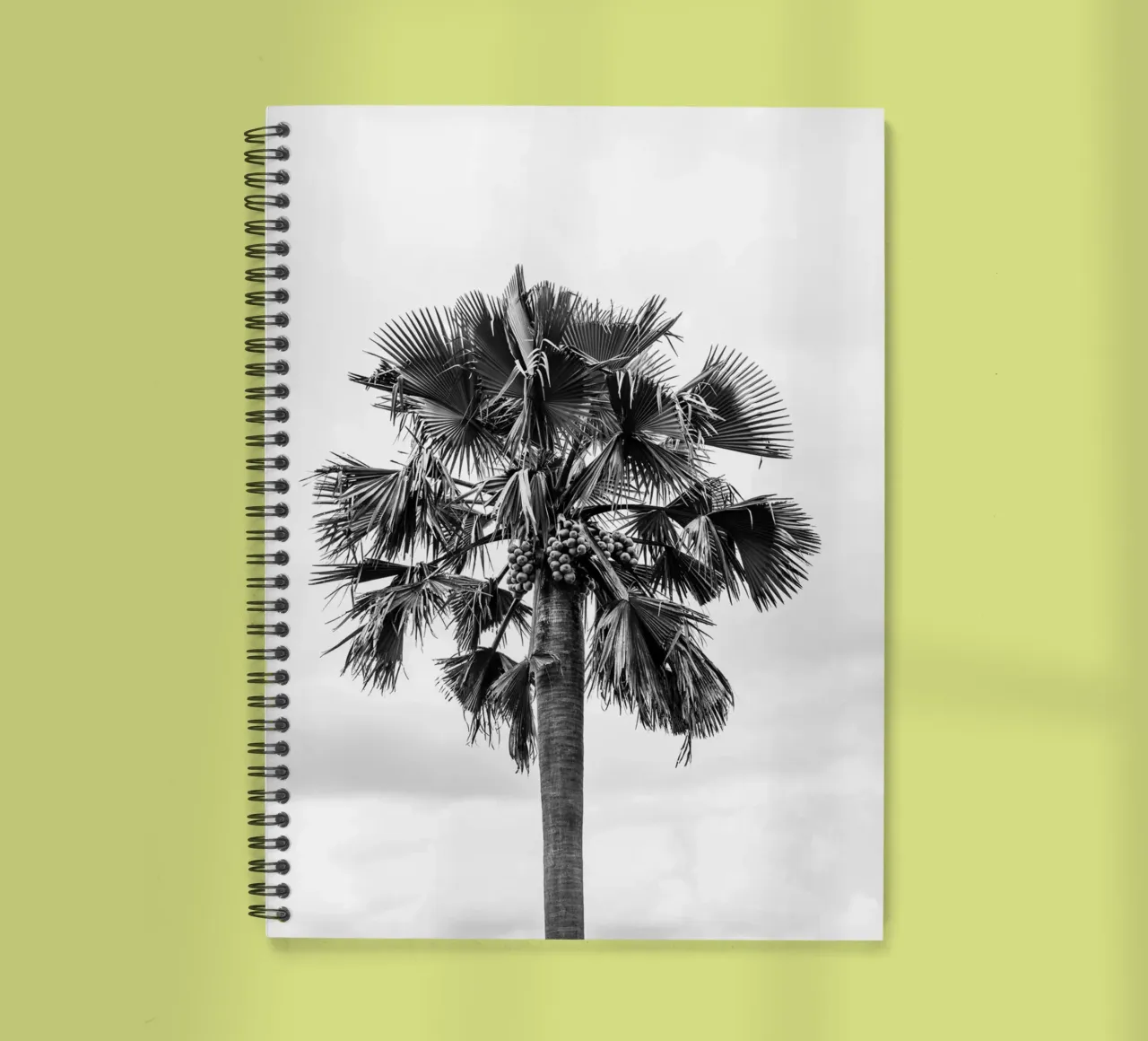 Palm tree in Uganda diario ad anelli da photolovers