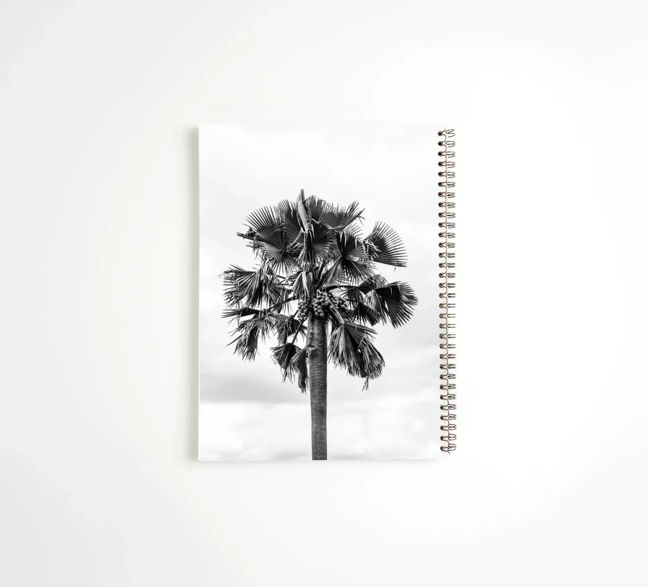 Palm tree in Uganda diario ad anelli da photolovers