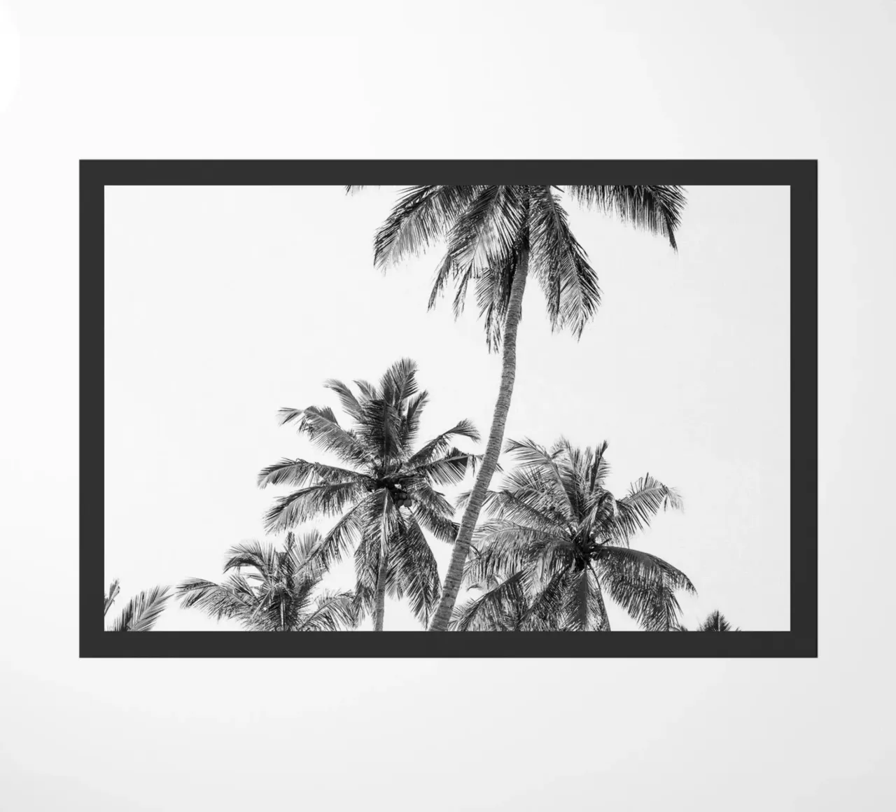 Palm trees on a tropical island zerbino da photolovers