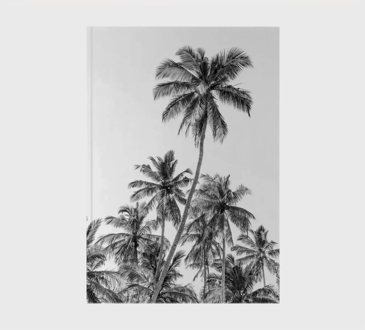 Palm trees on a tropical island notebook by photolovers