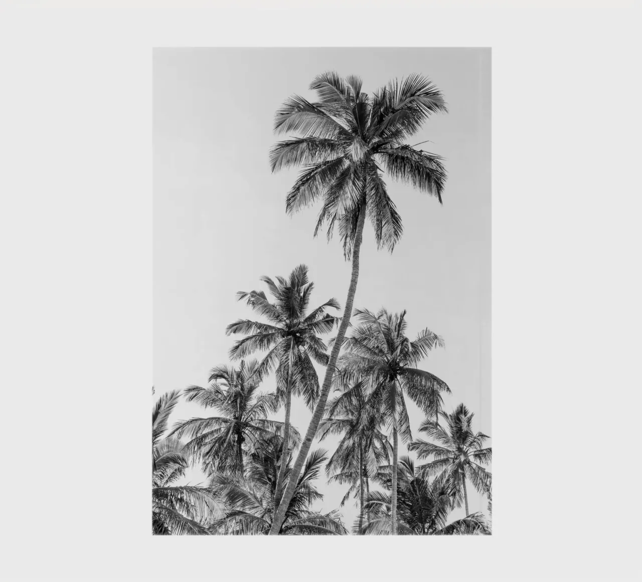 Palm trees on a tropical island notebook by photolovers