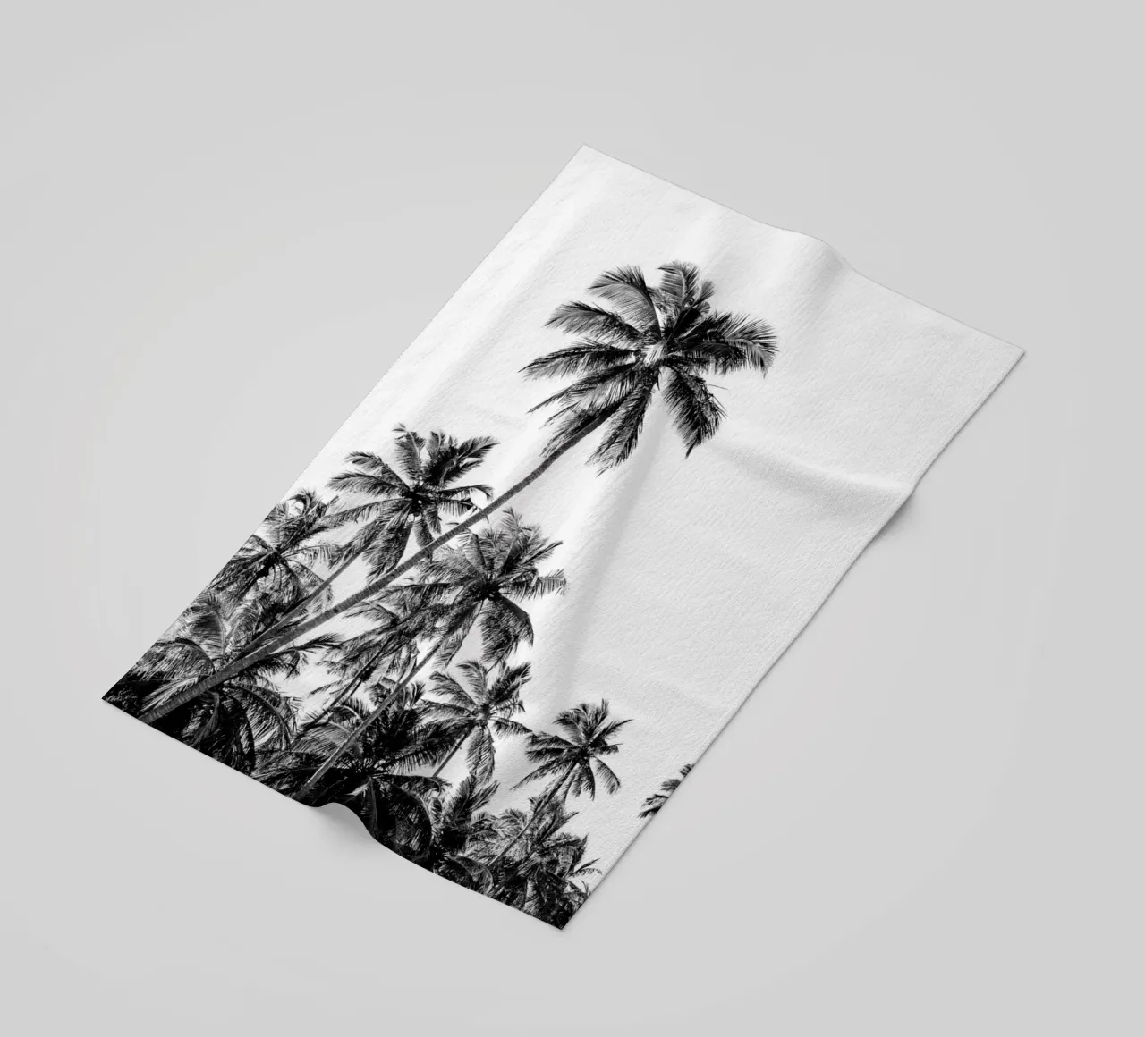 Tropical trees in Sri Lanka telo mare da photolovers