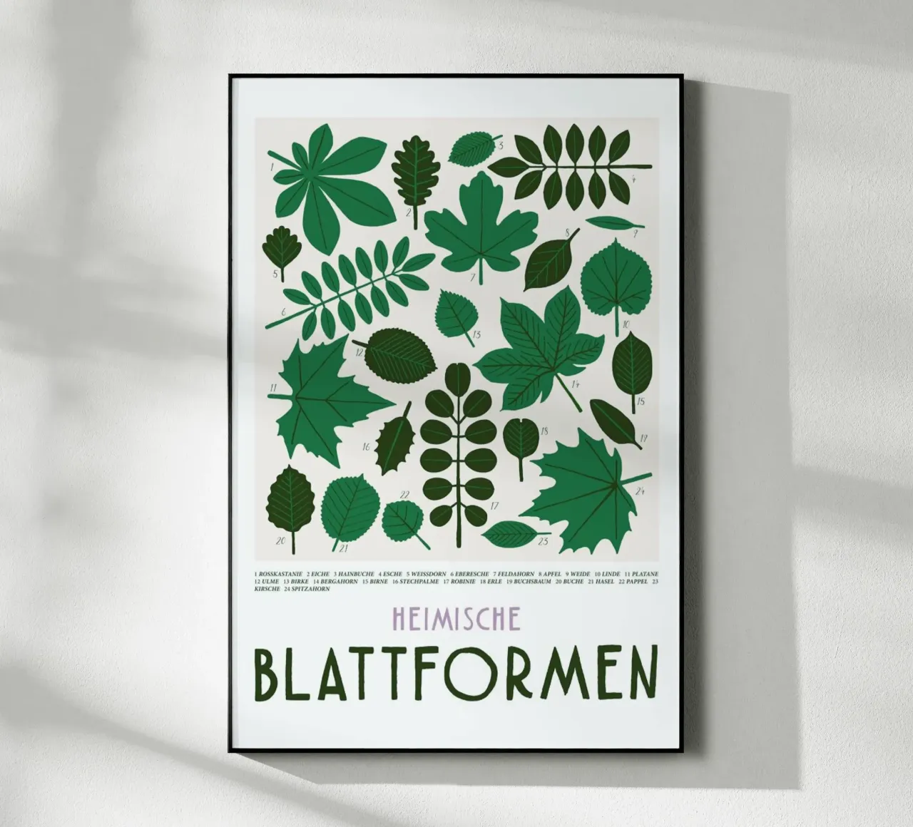 Blattformen plexiglass da typealive