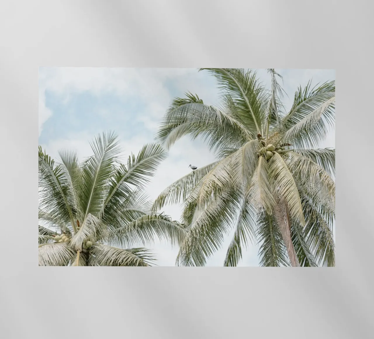 Palm trees on the beach in Indonesia pellicola backlit da photolovers