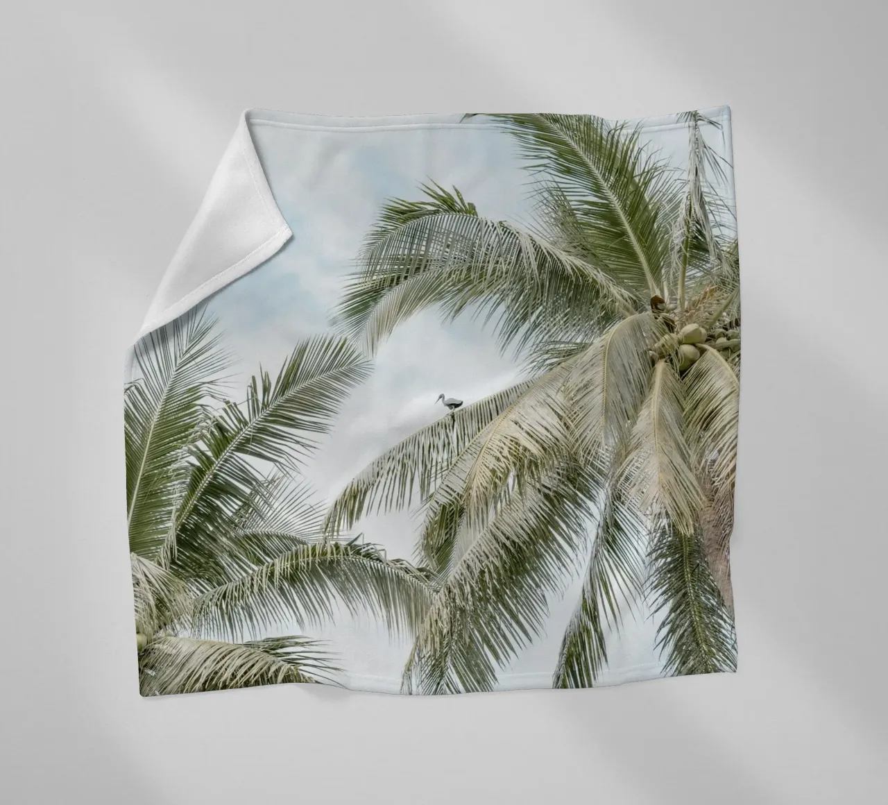 Palm trees on the beach in Indonesia coperta in pile da photolovers