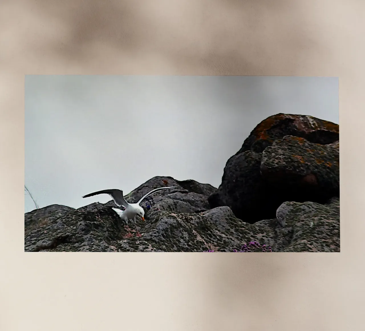 FAA325 pellicola backlit da Thierry vobmann photography