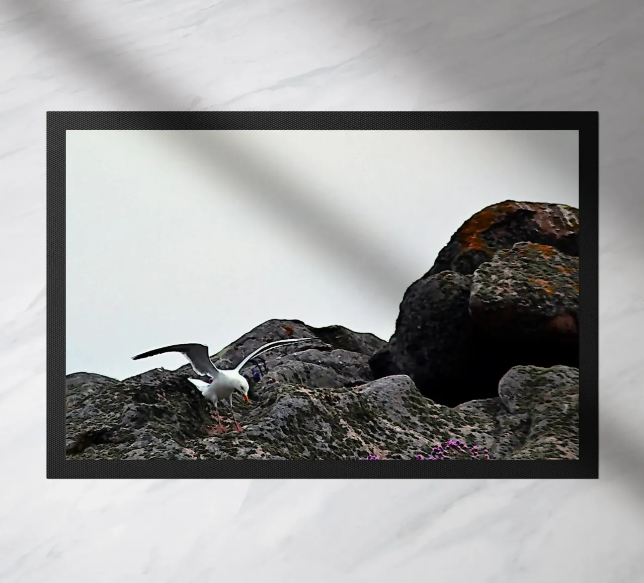 FAA325 zerbino da Thierry vobmann photography