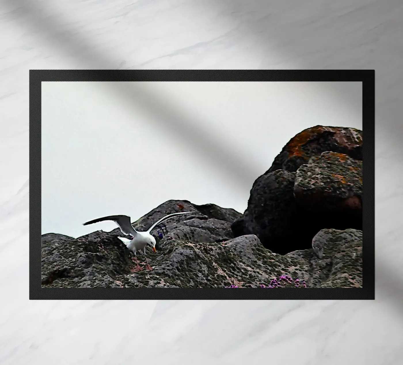 FAA325 paillasson de Thierry vobmann photography