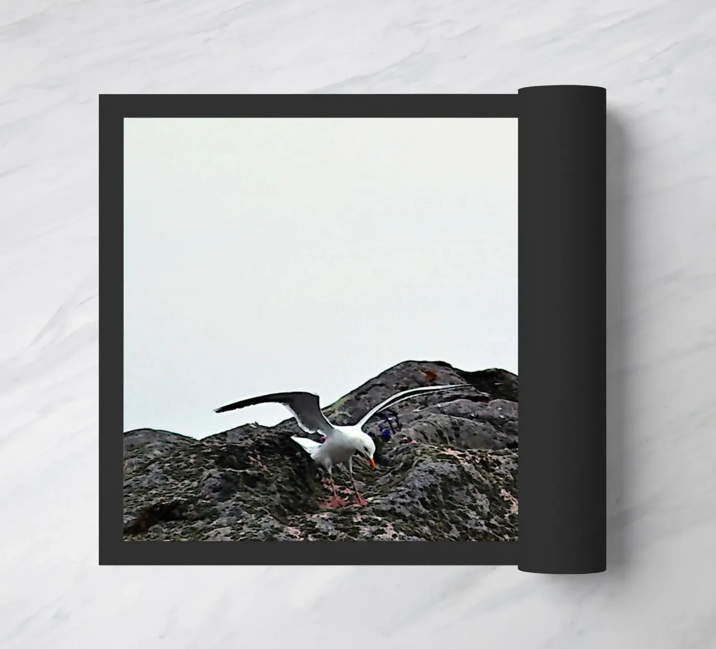 FAA325 paillasson de Thierry vobmann photography