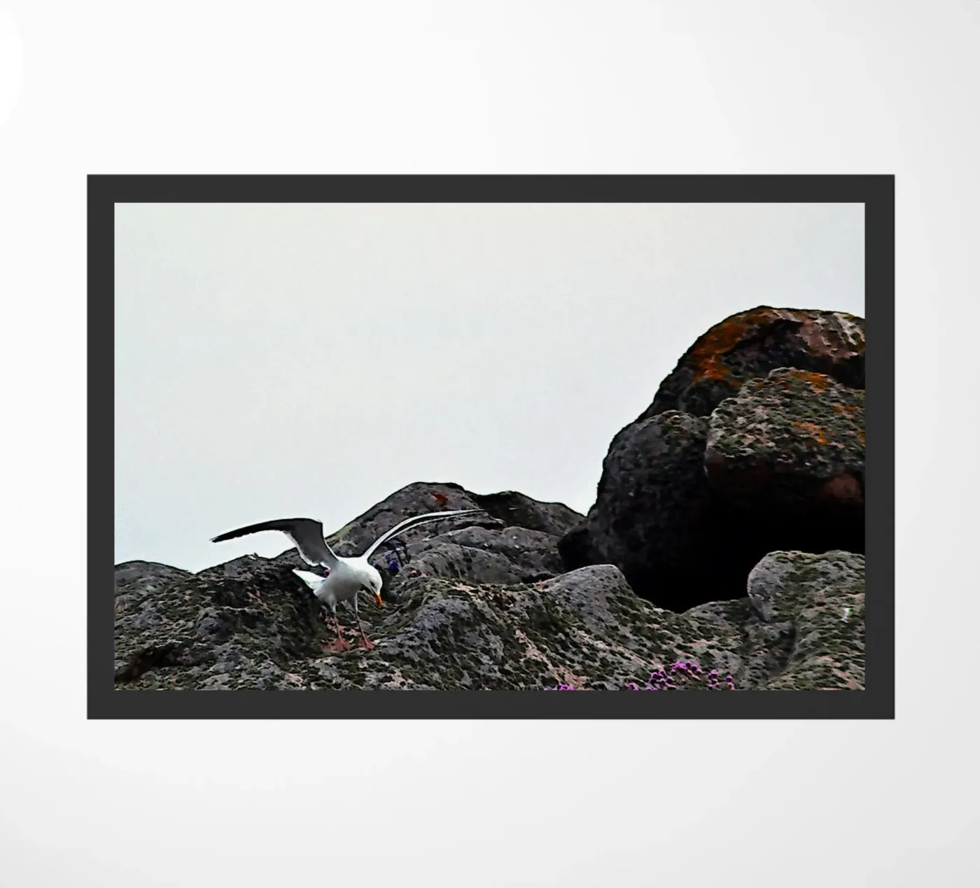 FAA325 paillasson de Thierry vobmann photography