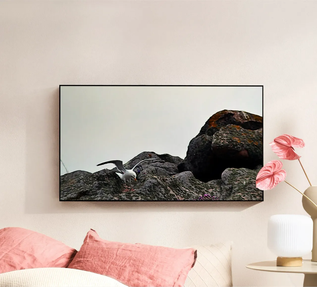 FAA325 plexiglass da Thierry vobmann photography