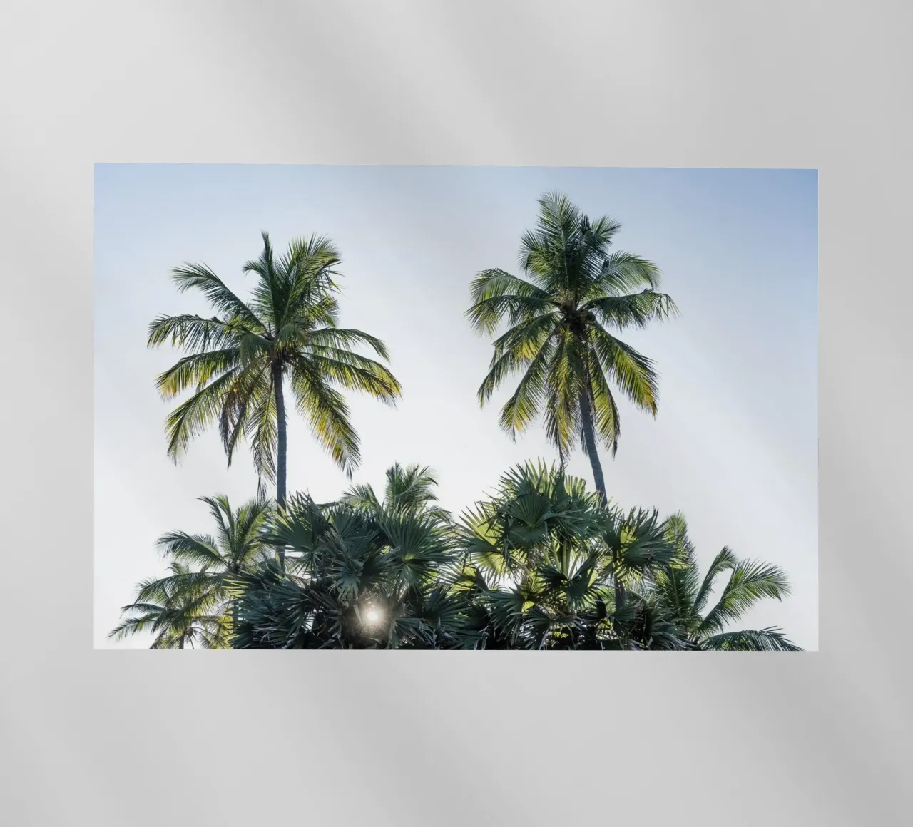 Sunset in the tropics pellicola backlit da photolovers