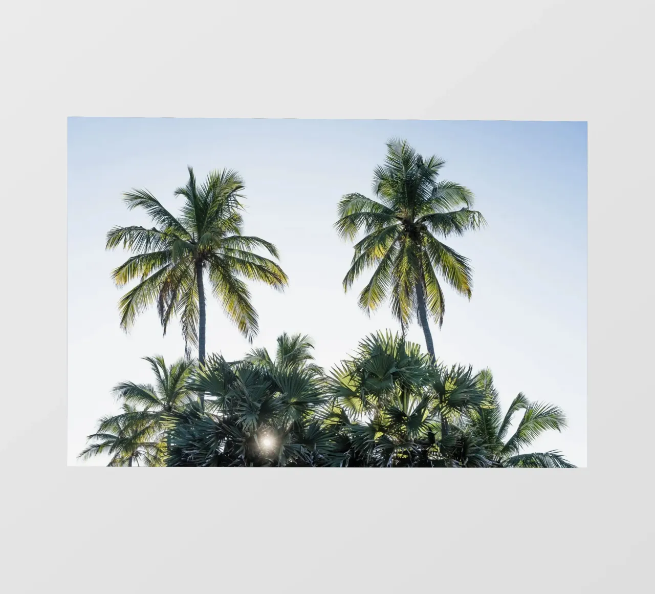 Sunset in the tropics telo in pvc da photolovers