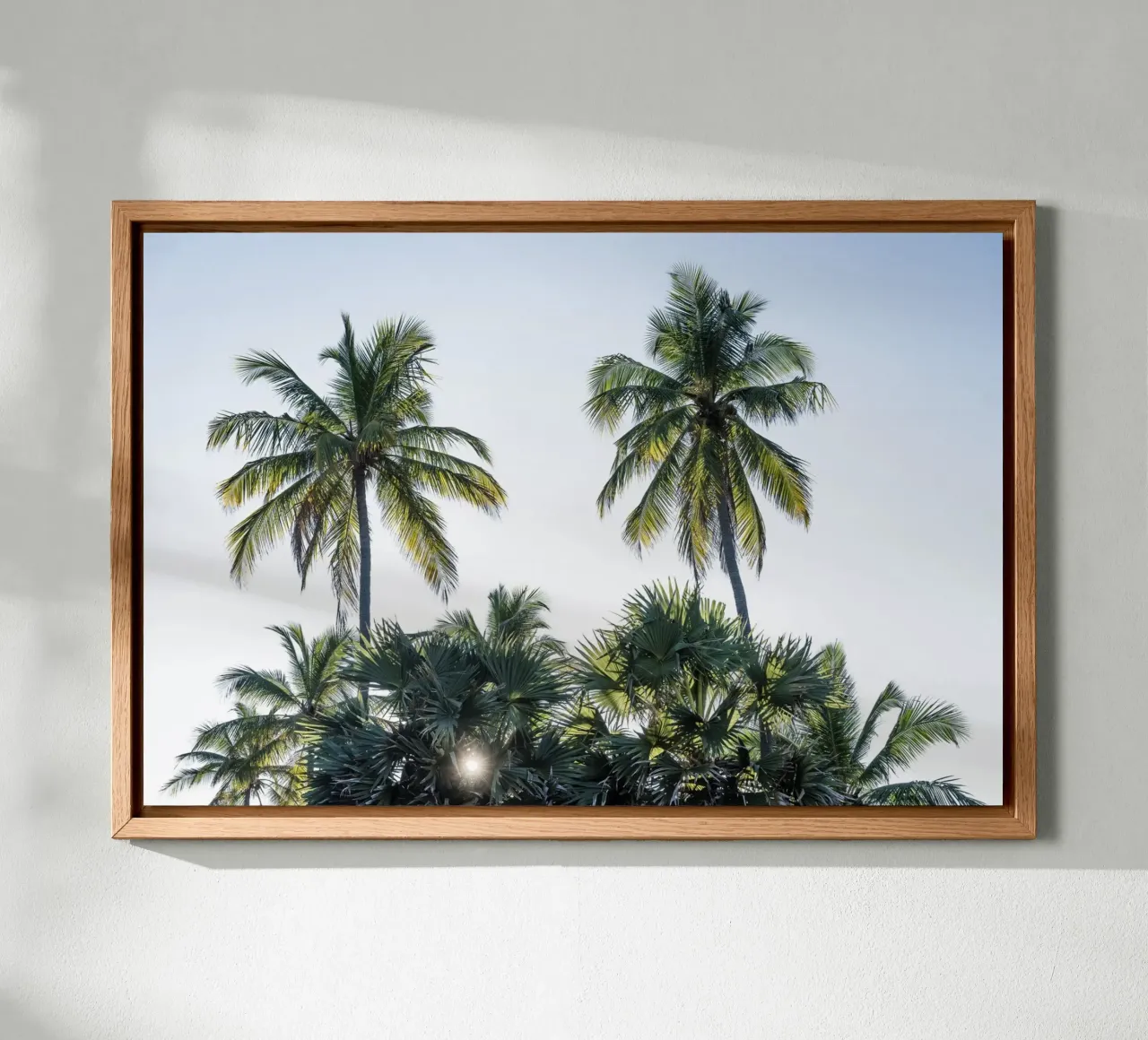 Sunset in the tropics alluminio dibond da photolovers
