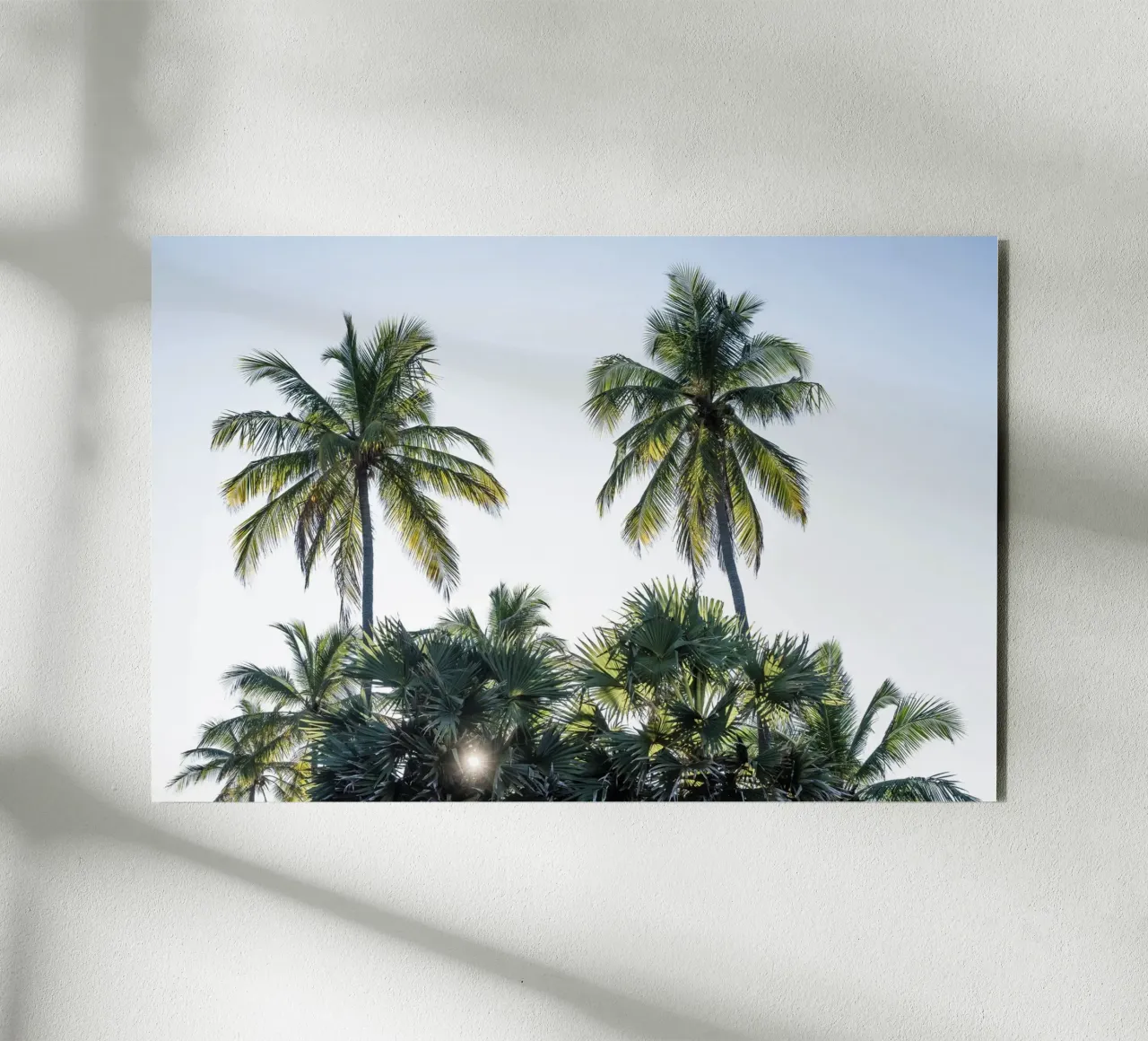Sunset in the tropics alluminio dibond da photolovers