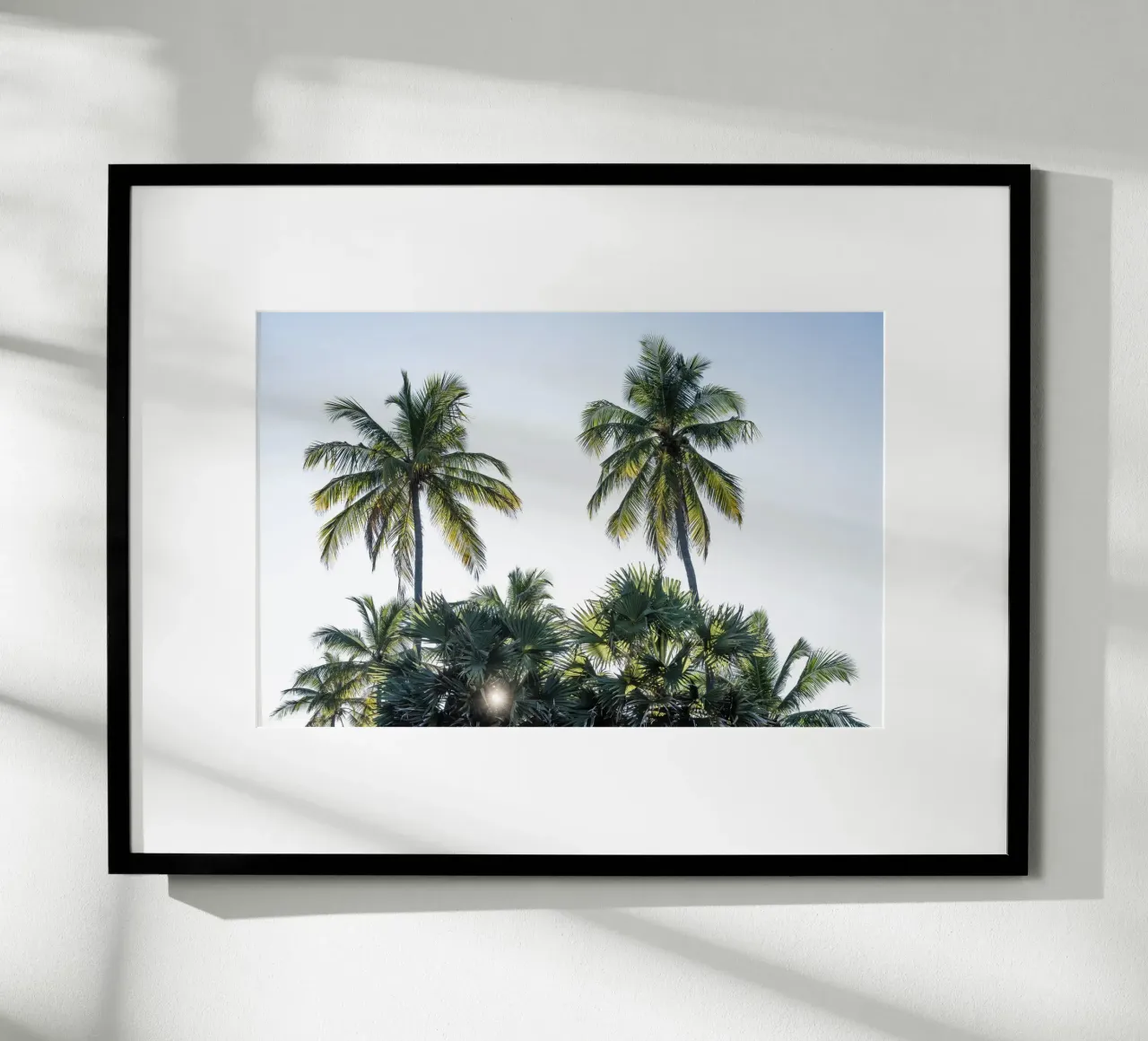 Sunset in the tropics poster da photolovers