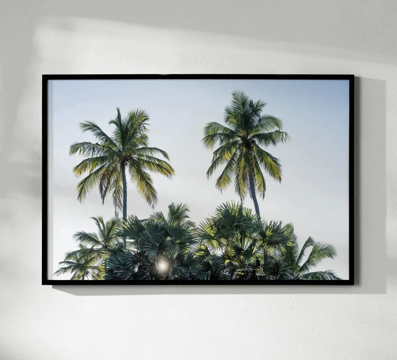 Sunset in the tropics poster da photolovers