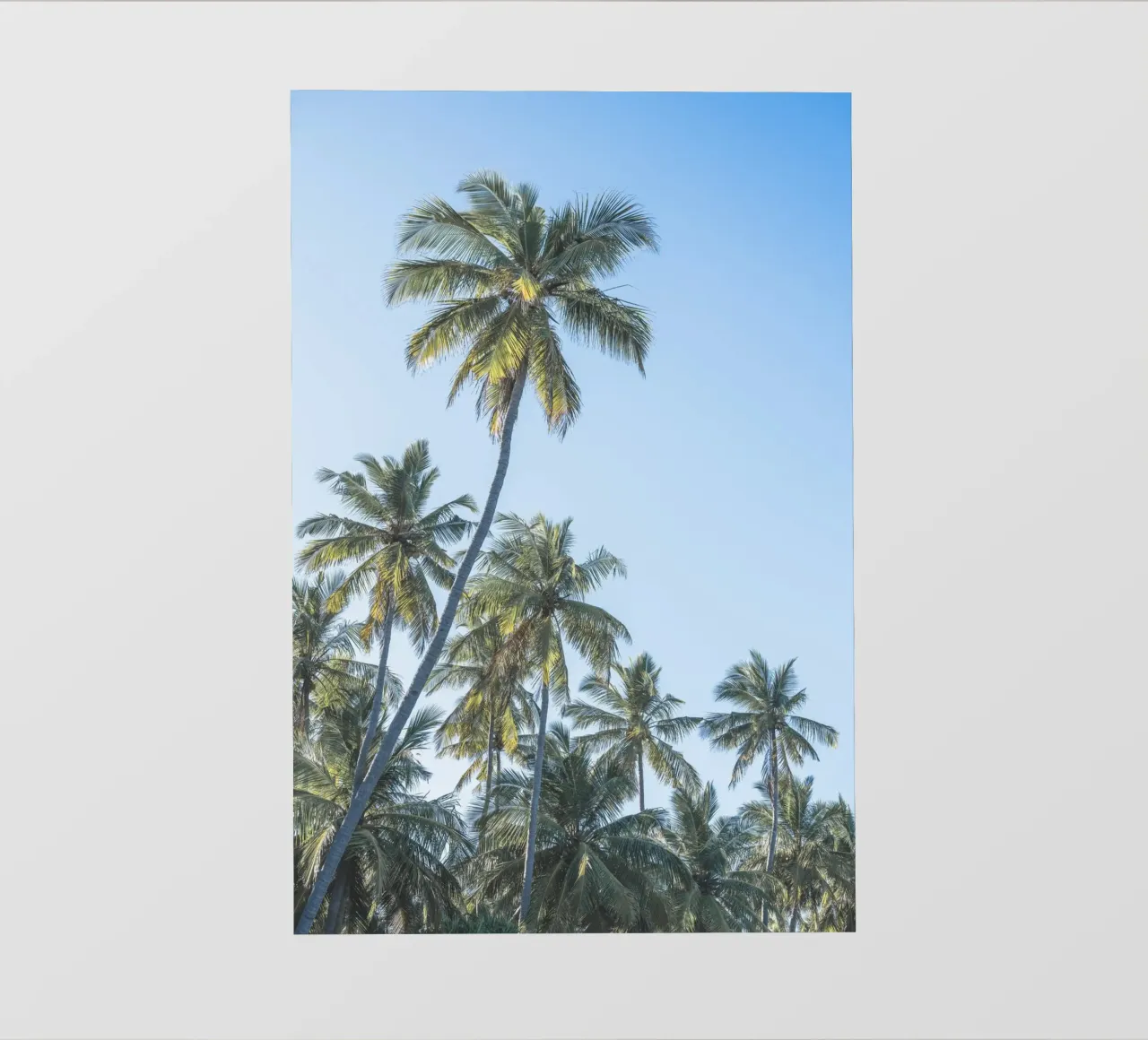 Holiday in the tropics telo in pvc da photolovers