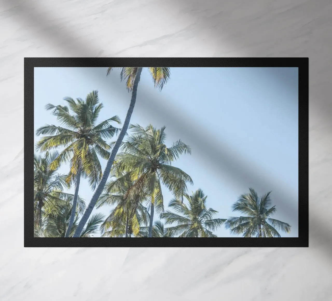 Holiday in the tropics zerbino da photolovers
