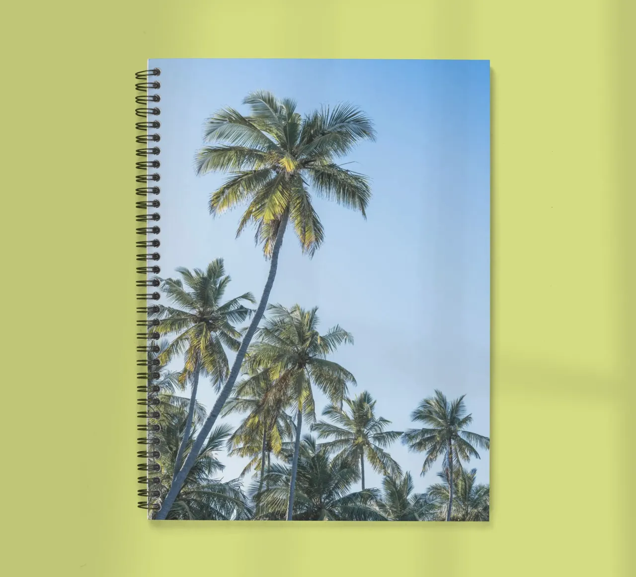 Holiday in the tropics diario ad anelli da photolovers
