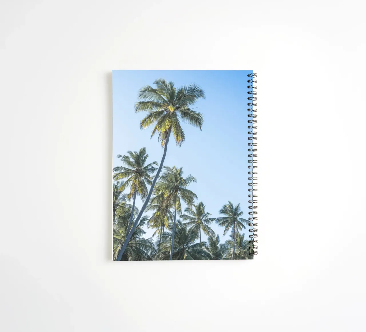Holiday in the tropics diario ad anelli da photolovers
