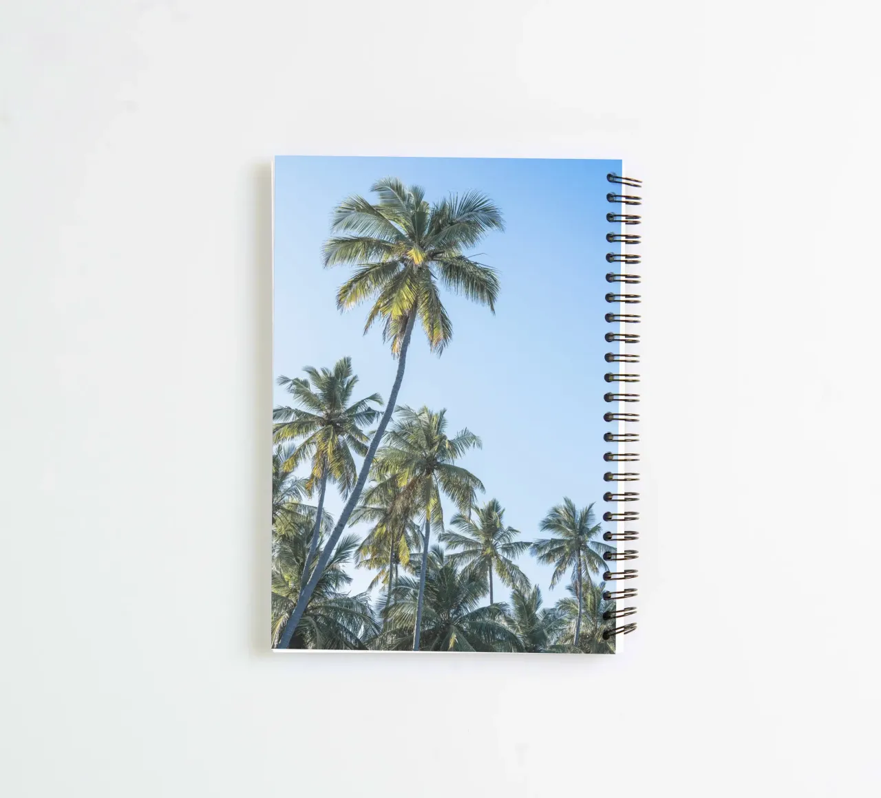 Holiday in the tropics diario ad anelli da photolovers