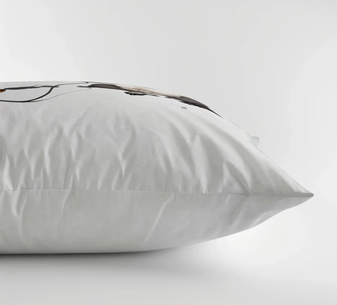 What a Drag (Wordless) cuscino da Rob Art | Illustration