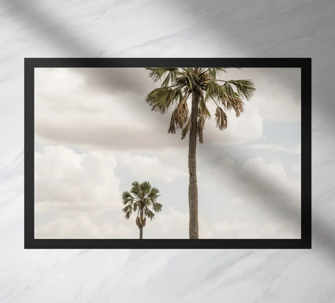 Palm trees in a park in Uganda zerbino da photolovers