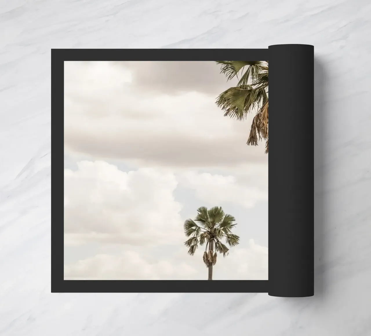 Palm trees in a park in Uganda zerbino da photolovers